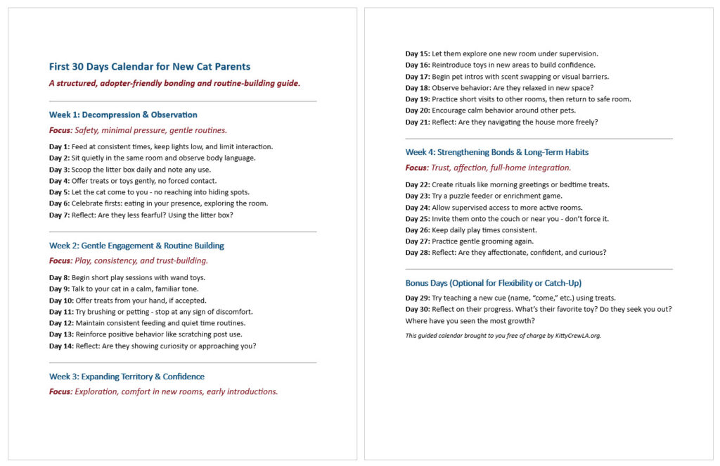 First 30 Days Calendar for New Cat Parents