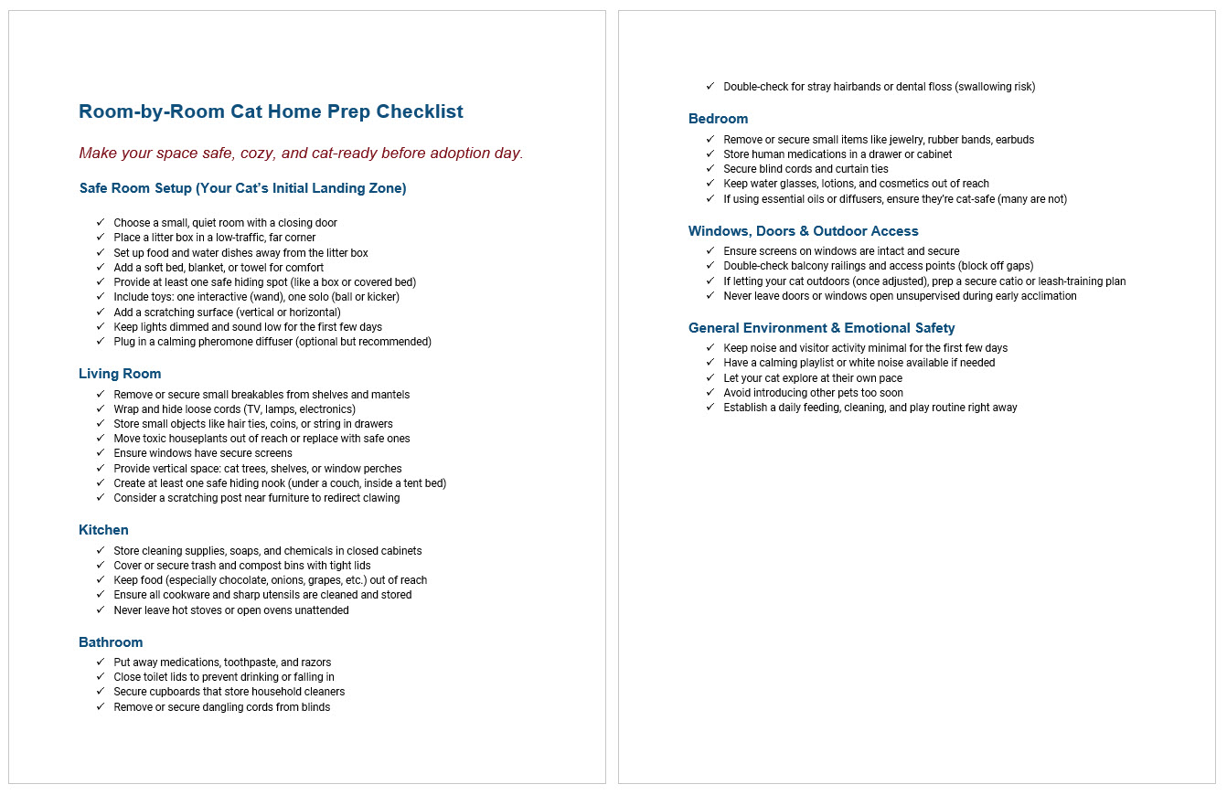Room-by-Room Cat Home Prep Checklist